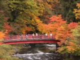 黒石市　「中野もみじ山 」