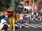 八戸三社大祭　虎舞・神楽