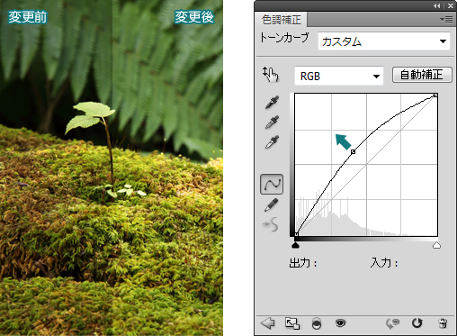 Photoshop-トーンカーブ1