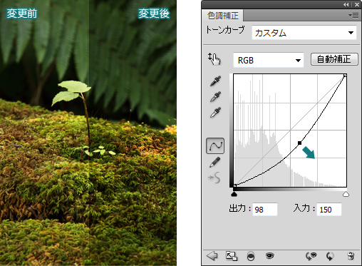 Photoshop-トーンカーブ2