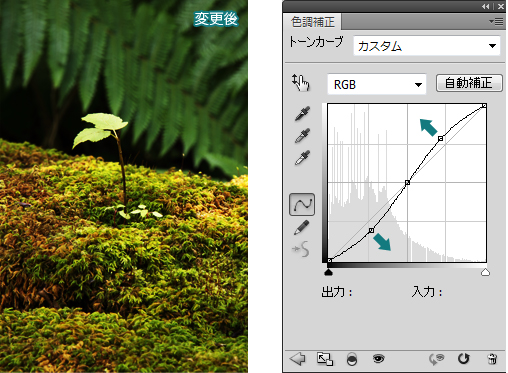 Photoshop-トーンカーブ3