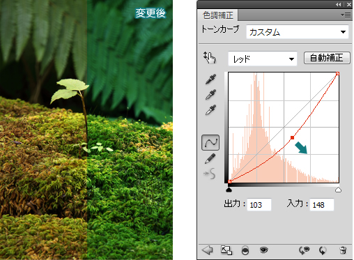 Photoshop-トーンカーブ4